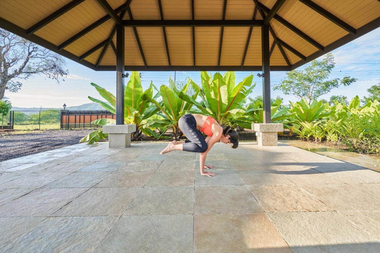 Viveda Wellness Resort นาสิก ภายนอก รูปภาพ